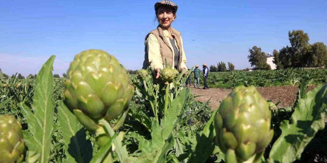7 yıl ürün almak için çabaladı! 120 dönümde ilk hasat heyecanı yaşıyor 1